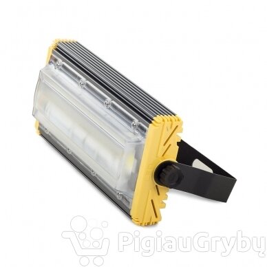 50W halogeninė LED COB lempa 2